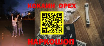стаф Кингисепп
