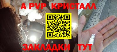 стаф Кингисепп