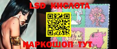 стаф Кингисепп