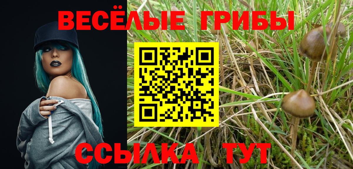 Ипатово  Псилоцибиновые грибы прущие грибы  Вход с VPN  Галлюциногенные грибы ЛСД 